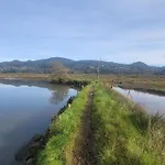 公寓 Eguzkilore - Marinero Vistas Al Mar *